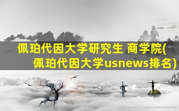 佩珀代因大学研究生 商学院(佩珀代因大学usnews排名)